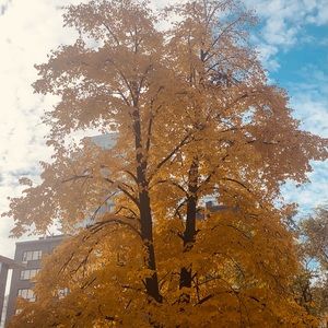 Meet your Posher, Imee